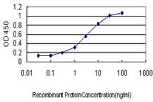 Detection limit for recombinant GST tagged GMPS is approximately 0. (GMP Synthase antibody  (AA 108-215))