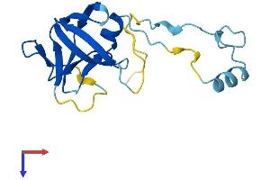 Protein Structure (PS) image for Endogenous Retrovirus Group K, Member 25 (ERVK-25) (AA 1-156) protein (His tag) (ABIN7545161)