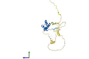 Protein Structure (PS) image for BARX Homeobox 1 (BARX1) (AA 1-254) protein (His tag) (ABIN7552725)