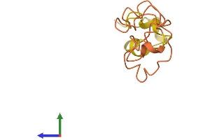 AlphaFold protein structure predicition of Human Recombinant KRTAP17-1 Protein, UniprotID Q9BYP8