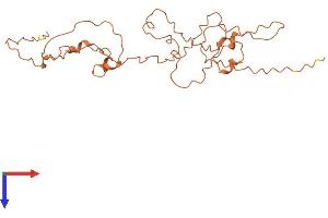 Keratin Associated Protein 10-10 (KRTAP10-10) (AA 1-251) protein (His tag)