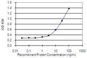 Detection limit for recombinant GST tagged HAGHL is 0. (HAGHL antibody  (AA 183-282))