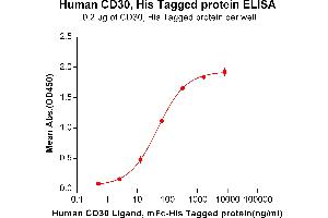 ELISA plate pre-coated by 2 μg/mL (100 μL/well) Human CD30, His tagged protein (ABIN6961166) can bind Human CD30 Ligand,mFc-His tagged protein (ABIN6961111) in a linear range of 2. (TNFRSF8 Protein (His tag))