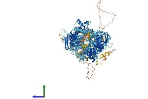 Protein Structure (PS) image for ATP-Binding Cassette, Sub-Family C (CFTR/MRP), Member 12 (ABCC12) (AA 1-1366) protein (His tag) (ABIN7564281)