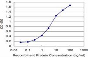 Detection limit for recombinant GST tagged GLRA1 is approximately 0. (GLRA1 antibody  (AA 121-220))