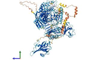 AlphaFold protein structure predicition of Human Recombinant FLII Protein, UniprotID Q13045