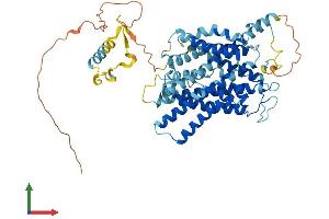 AlphaFold protein structure predicition of Mouse Recombinant Slc38a9 Protein, UniprotID Q8BGD6
