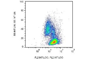 Surface staining of human peripheral blood cells by mouse monoclonal anti-beta2-microglobulin antibody B2M-02 biotin. (beta-2 Microglobulin antibody  (Biotin))