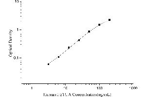 Typical Standard Curve
