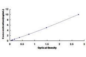 ELISA image for Fucosyltransferase 4 (Alpha (1,3) Fucosyltransferase, Myeloid-Specific) (FUT4) ELISA Kit (ABIN417577)