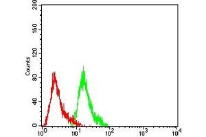 Flow cytometric analysis of Hela cells using NFKB2 mouse mAb (green) and negative control (red). (NFKB2 antibody  (AA 712-900))