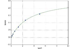 A typical standard curve