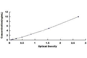 ATG5 Autophagy Related 5 (ATG5) ELISA Kit