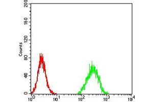 Flow cytometric analysis of Hela cells using ZFP91 mouse mAb (green) and negative control (red). (ZFP91 antibody  (AA 162-304))