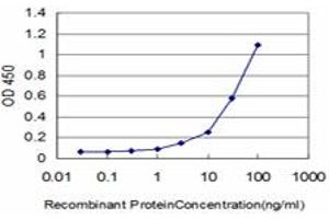 Detection limit for recombinant GST tagged FYN is approximately 1ng/ml as a capture antibody. (FYN antibody  (AA 1-90))