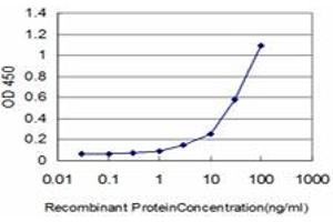 ELISA image for anti-FYN Oncogene Related To SRC, FGR, YES (FYN) (AA 1-90) antibody (ABIN560968)
