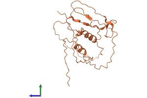 Protein Structure (PS) image for Zinc Finger Protein 365 (ZNF365) (AA 1-216) protein (His tag) (ABIN7544229)