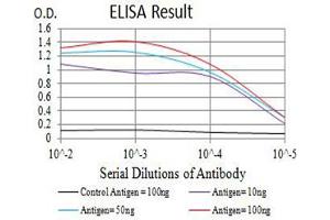 Black line: Control Antigen (100 ng),Purple line: Antigen (10 ng), Blue line: Antigen (50 ng), Red line:Antigen (100 ng) (Metabotropic Glutamate Receptor 3 antibody  (AA 433-576))