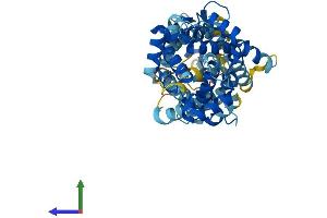 Protein Structure (PS) image for Solute Carrier Family 25 (Mitochondrial Carrier, Phosphate Carrier), Member 24 (SLC25A24) (AA 1-477) protein (His tag) (ABIN7555416)