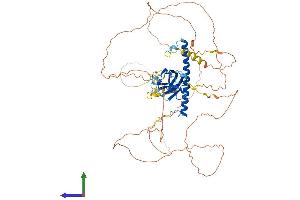 AlphaFold protein structure predicition of Mouse Recombinant Rab11fip1 Protein, UniprotID Q9D620 (RAB11FIP1 Protein (AA 1-645) (His tag))