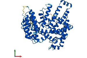 Protein Structure (PS) image for Hedgehog Acyltransferase (HHAT) (AA 1-493) protein (His tag) (ABIN7548298)