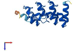 CDKN2B Protein (AA 1-138) (His tag)