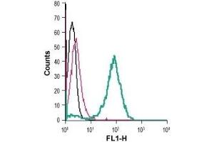 Cell surface detection of GLUT3 in live intact human THP-1 monocytic leukemia cells: (black line) Cells. (SLC2A3 antibody  (Extracellular))