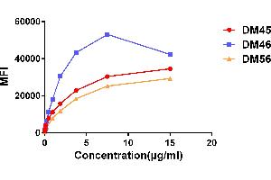 Affinity ranking of different Rabbit anti-CD138 mAb clones by titration of different concentration onto H929 cells.