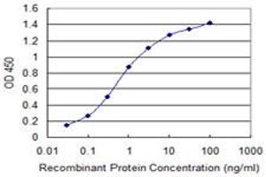 Detection limit for recombinant GST tagged IL1RN is 0. (IL1RN antibody  (AA 1-159))