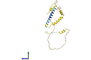 AlphaFold protein structure predicition of Human Recombinant PTPRCAP Protein, UniprotID Q14761 (PTPRCAP Protein (AA 1-206) (His tag))
