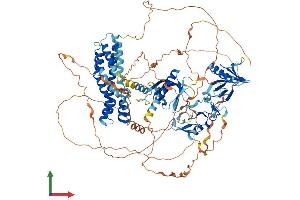 Protein Structure (PS) image for FYVE, RhoGEF and PH Domain Containing 1 (FGD1) (AA 1-960) protein (His tag) (ABIN7563419)