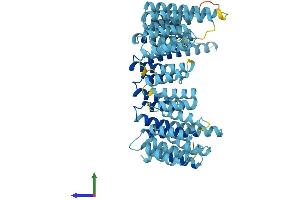 AlphaFold protein structure predicition of Human Recombinant UTP6 Protein, UniprotID Q9NYH9 (UTP6 Protein (AA 1-597) (His tag))