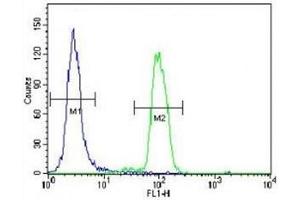 p38 antibody flow cytometric analysis of HeLa cells (right histogram) compared to a negative control (left histogram). (MAPK14 antibody  (AA 295-324))