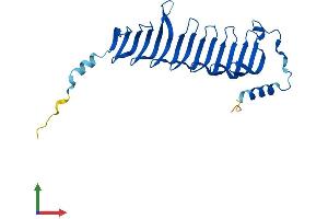 AlphaFold protein structure predicition of Mouse Recombinant Morn3 Protein, UniprotID Q8C5T4