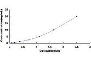 Cysteinyl Leukotriene Receptor 2 (CYSLTR2) ELISA Kit