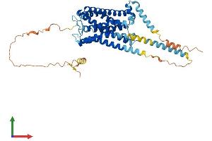 Protein Structure (PS) image for 5-Hydroxytryptamine (serotonin) Receptor 7 (Adenylate Cyclase-Coupled) (HTR7) (AA 1-448) protein (His tag) (ABIN7563134)