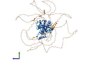 AlphaFold protein structure predicition of Human Recombinant PGR Protein, UniprotID P06401 (Progesterone Receptor Protein (PGR) (AA 1-933) (His tag))