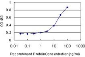 Detection limit for recombinant GST tagged SPHK1 is approximately 1ng/ml as a capture antibody. (SPHK1 antibody  (AA 1-384))