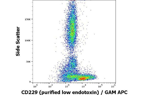 LY9 antibody