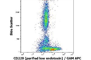 Flow cytometry surface staining pattern of human peripheral blood stained using anti-human CD229 (HLy9. (LY9 antibody)