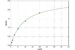 Laminin, beta 2 (Laminin S) (LAMB2) ELISA Kit