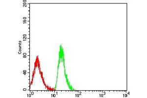 Flow cytometric analysis of MOLT4 cells using CD179A mouse mAb (green) and negative control (red). (VPREB1 antibody  (AA 20-145))