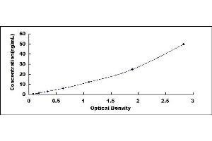 Typical standard curve (HTRA4 ELISA Kit)