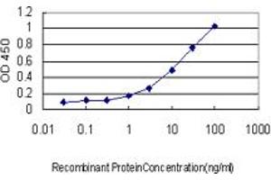 Detection limit for recombinant GST tagged MEF2BNB is approximately 1ng/ml as a capture antibody. (MEF2BNB antibody  (AA 1-119))