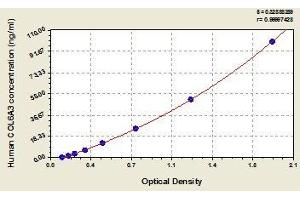 Typical standard curve (COL6a3 ELISA Kit)