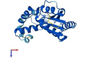 PMVK Protein (AA 1-192) (His tag)