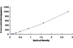 Typical standard curve (CD147 ELISA Kit)