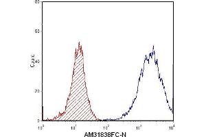 Flow Cytometry (FACS) image for anti-S100 Calcium Binding Protein A8 (S100A8) antibody (FITC) (ABIN954653) (S100A8 antibody  (FITC))