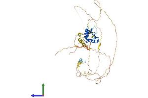 AlphaFold protein structure predicition of Human Recombinant FOXA2 Protein, UniprotID Q9Y261 (FOXA2 Protein (AA 1-457) (His tag))