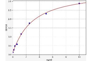 RIPK1 ELISA Kit